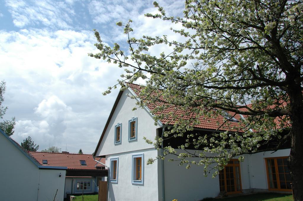 Boretinsky Statek Exterior foto